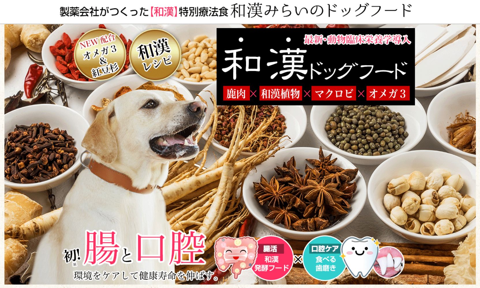 和漢 みらいのドッグフード 特別療法食【膵臓】✖️5+thefivetips.com